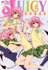 ToLOVEる　イラスト集他　ジャンプ流　セット　値下げ toloveる 画集 アニメイラスト集 DVD ova セット