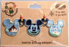 ディズニーリゾートライン つり革 記念品 リゾートライナーのつり革デザイン！東京ディズニーランド