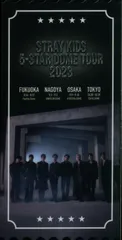 StrayKids 2023 5-STAR ピクチャーチケット W会員