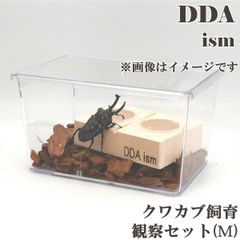 ＼5点フルセット／  飼育マニュアル付き！【DDA】クワカブ飼育・観察セット (Ｍ) ケース ゼリー えさ皿 足場木 床材 入り dda クワガタ カブトムシ 昆虫 観察  鑑賞 飼育セット 自由研究