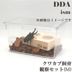 クリアスライダーミニ 未使用8個／中古55個 合計63個セット 2025年最新】昆虫ケース クリアスライダーの人気アイテム - メルカリ
