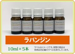 ラバンジン 10ml×5本（アロマストーンプレゼント）