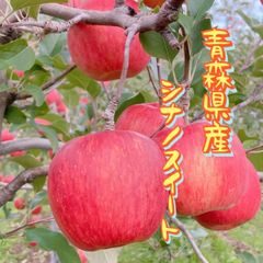青森県産🍎シナノスイート家庭用🍎5kg14〜16玉