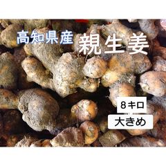 高知県産 朝採れ直送新生姜 8キロ - メルカリ