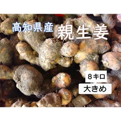 高知県産 親生姜 ８ k g 土付きのサムネイル