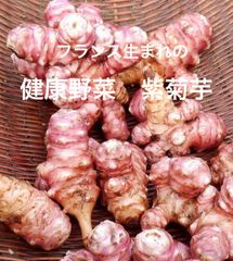 栽培期間中農薬不使用　健康野菜　紫菊芋（約1.2kg)