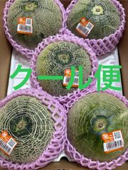 クインシーメロン 2Lサイズ 5個 箱込 5キロ程度 茨城県産