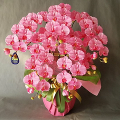 造花胡蝶蘭L-ピンク 5F  高さ85cm×巾60cm 造花・光触媒コーティング