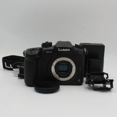 【新品級】PANASONIC LUMIX DC-GH5 105ショットボディ#4722