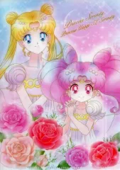 【中古】クリアファイル プリンセス・セレニティ＆プリンセス・うさぎ・SL・セレニティ 「ジャンボカードダス 美少女戦士セーラームーン アートファイルコレクション3」