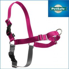 ラズベリー色イージーウォークハーネス Pet Safe Easy Walk正規品