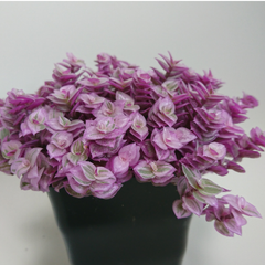 mokuu.. - メルカリShops