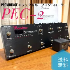 2025年最新】providence pecの人気アイテム - メルカリ