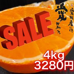 愛媛　玉津産まどんな（紅まどんな同品種）　家庭用4kgセール