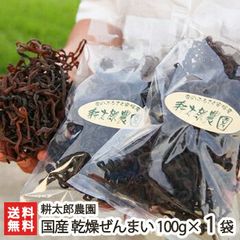 国産 乾燥ぜんまい 100g（1袋）