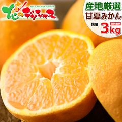 【出荷間近/3月23日(木)～出荷】産地厳選 国産 甘夏 3kg (共撰/秀品/L〜2L) ミカン 柑橘類  あまなつ 甘夏みかん 夏みかん ギフト 贈り物 人気 果物 フルーツ 送料無料 お取り寄せ
