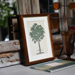 ヴィンテージフレーム「セイヨウナナカマド」希少なヴィンテージ図鑑の1枚と国産額縁のセット (アンティーク雑貨 蚤の市 ウォールデコ シャビーシック 暮らし アートフレーム 額縁 絵 ポスター インテリアリビング アート 古道具 ボタニカルアート 植物画)