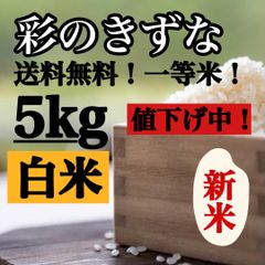白米　5kg 彩のきずな　新米　埼玉県産　令和4年産　送料無料　米　5キロ