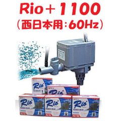 カミハタ Ｒｉｏ＋１１００ (西日本用：６０Ｈｚ) 水中ポンプ リオプラス 水槽用