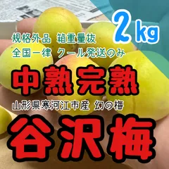 【⭐︎aki⭐︎】山形産 農薬不使用❗️希少在来種 谷沢梅 サイズ混合 5㎏ ⑧ 2025年最新】谷沢梅の人気アイテム - メルカリ