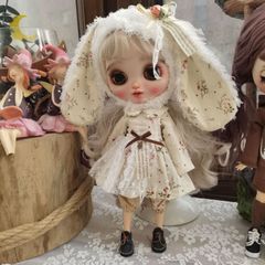 1/6サイズドール&blythe