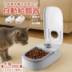 Item thumbnail for item 5bff02f5-64a3-4e13-ae3d-73b9dc192507