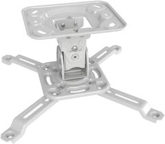 Item thumbnail for item 4e906993-e7ae-49b7-bebe-acfdfb55d7a8