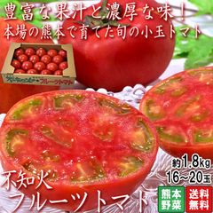 不知火フルーツトマト 約1.8kg 16～20玉 熊本県産 トマトの本場で育てた甘み豊かな国産野菜！