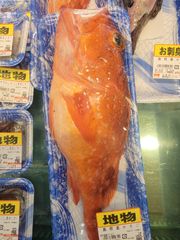 島根産　カサゴ