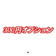 300円オプション