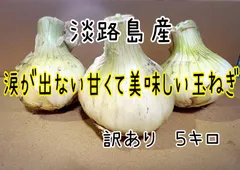 2024年最新】淡路島産新玉ねぎの人気アイテム - メルカリ