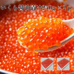 いくら醤油漬け250g×2p サーモントラウト粒は小さいけど味は抜群！ サーモントラウト 丼 軍艦 手巻き寿司 ちらし寿司 冷凍便 お取り寄せグルメ 食品 ギフト 手巻き寿司 いくら イクラ
