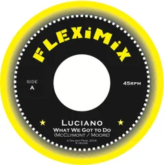 蘭7” Luciano What We Got To Do  FLEX1003 Fleximix /00080のサムネイル