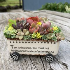 多肉植物寄せ植えそのまま飾れるちま寄せ花車