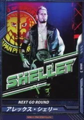 【中古】キング オブ プロレスリング BT06-020[C]：[コード保証無し]アレックス・シェリー