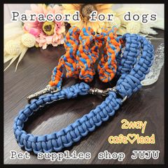 Item thumbnail for item b5c4e2d4-ddd5-432c-abf6-5079e9393aef