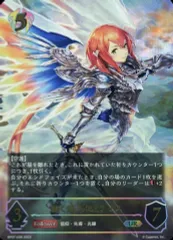 2026年最新】【Shadowverse EVOLVE】ブースターパック第7弾 「森羅鋼鉄