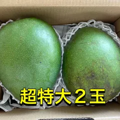 2025年最新】キーツマンゴーの人気アイテム - メルカリ