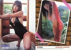 【中古】コレクションカード(女性) 116 ： 海江田純子/2005 YC PREMIUM CARD 2005年20号 特典