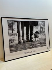 エリオット・アーウィット のポスター　ElliottErwitt