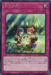 御巫の契り TTP1-JP073 【シークレットレア】 TACTICAL-TRY PACK －黒魔導・ＨＥＲＯ・御巫－ 遊戯王　トレカ道