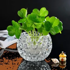 ガラス花瓶 金魚鉢 花器 花瓶 ガラス フラワーベース 花瓶 花器 ガラス ガラスベース ガラスボトル アレンジ インテリア 水栽培 丸型 生け花 造花 おしゃれ シンプル AIVAR インテリア雑貨 飾り瓶 北欧 (透明-小さい)