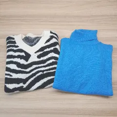 ◇ 《 GRL グレイル まとめ2点セット サイズF ゼブラ柄 生地厚手 Vネック 無地 ニット レディース 》 E  【1305290001669】