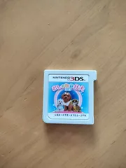 187 任天堂 ニンテンドー 3DS ソフト　おしゃれな仔犬　ケースなし
