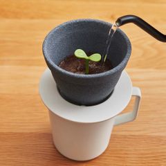 【未使用品】Kinome Ceramic Coffee Filter  d　キノメ