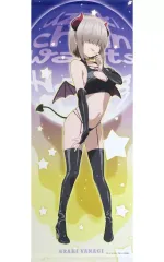 【中古】タペストリー 宇崎柳(小悪魔Ver.) ほぼ等身大タペストリー 「宇崎ちゃんは遊びたい!ω」