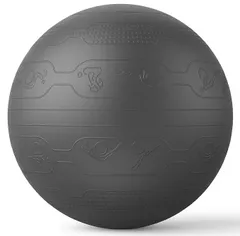 【在庫処分】PROIRON バランスボール 65cm ばらんすぼーる トレーニングガイドパターン付き 厚い ジムボール バランスボール 椅子 スポーツ 耐荷重300KG アンチバースト空気入れ付き (6色)