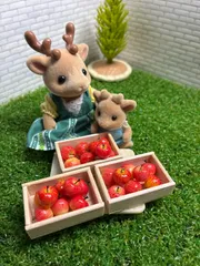 ミニチュアフード　りんご&木箱　1セット　フェイクフード