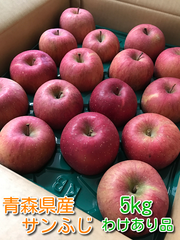 青森県産りんご「サンふじ」『わけあり品』 5kg