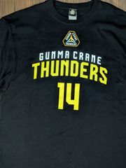 Item thumbnail for item 040bfe59-80ed-4d8b-b361-8e8ae375bbcf